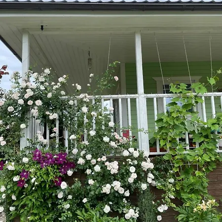 Aunt Owl's House Vissi (Tartu)