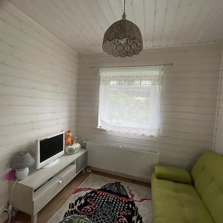 Aunt Owl's House * Vissi (Tartu)